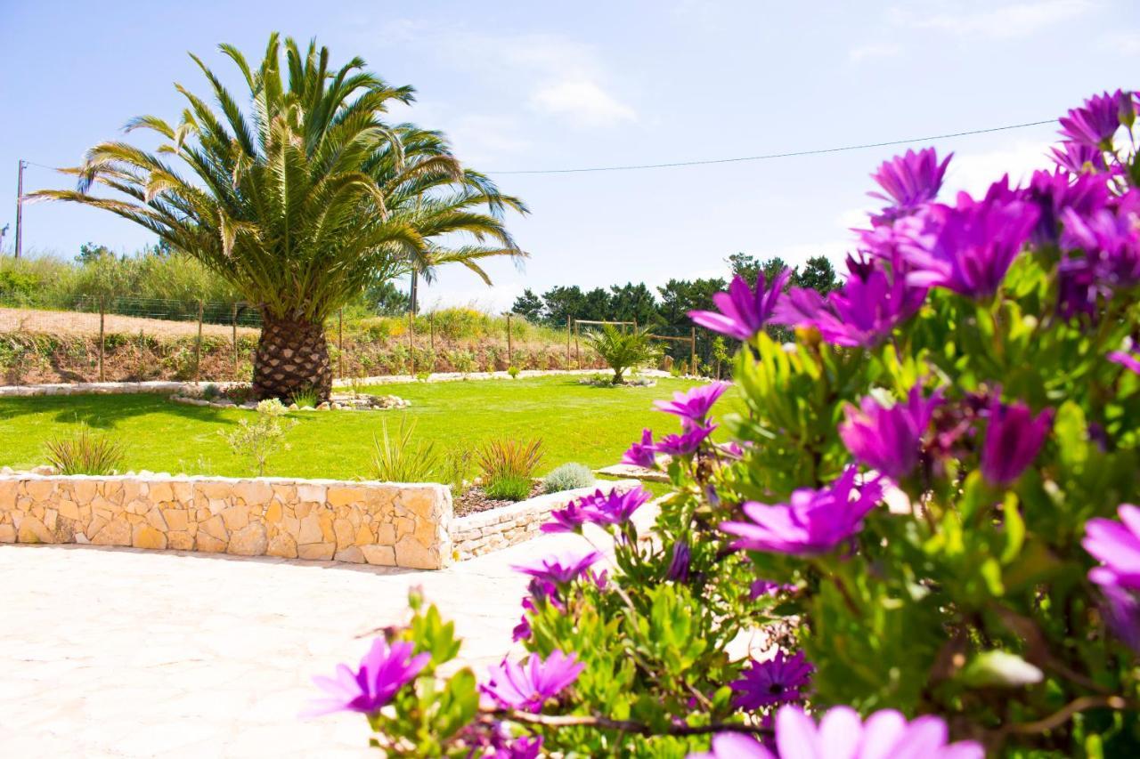 فيلا Casa Boavista ساو مارتينهو دو بورتو المظهر الخارجي الصورة